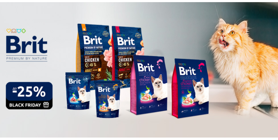 Акції BritPremium
