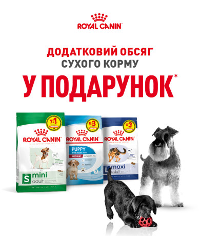Акції Club 4 Paws